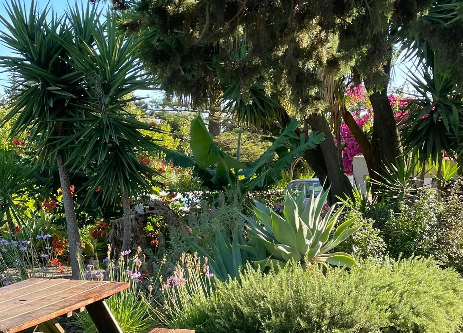 Quinta Vale Caranguejo Villa Tavira Holiday home